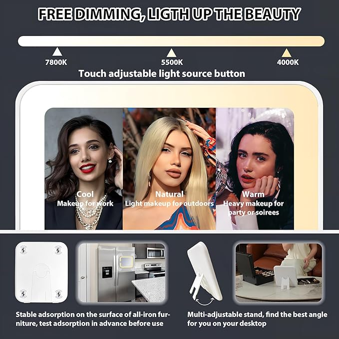 Makeup Organizer Box with Detachable Lighted Mirror, Travel Train Cosmetic Case, Adjustable Divider Storage Bag, Portable Artist Storage Suitcase with Magnetic LED Mirror (Light Pink)