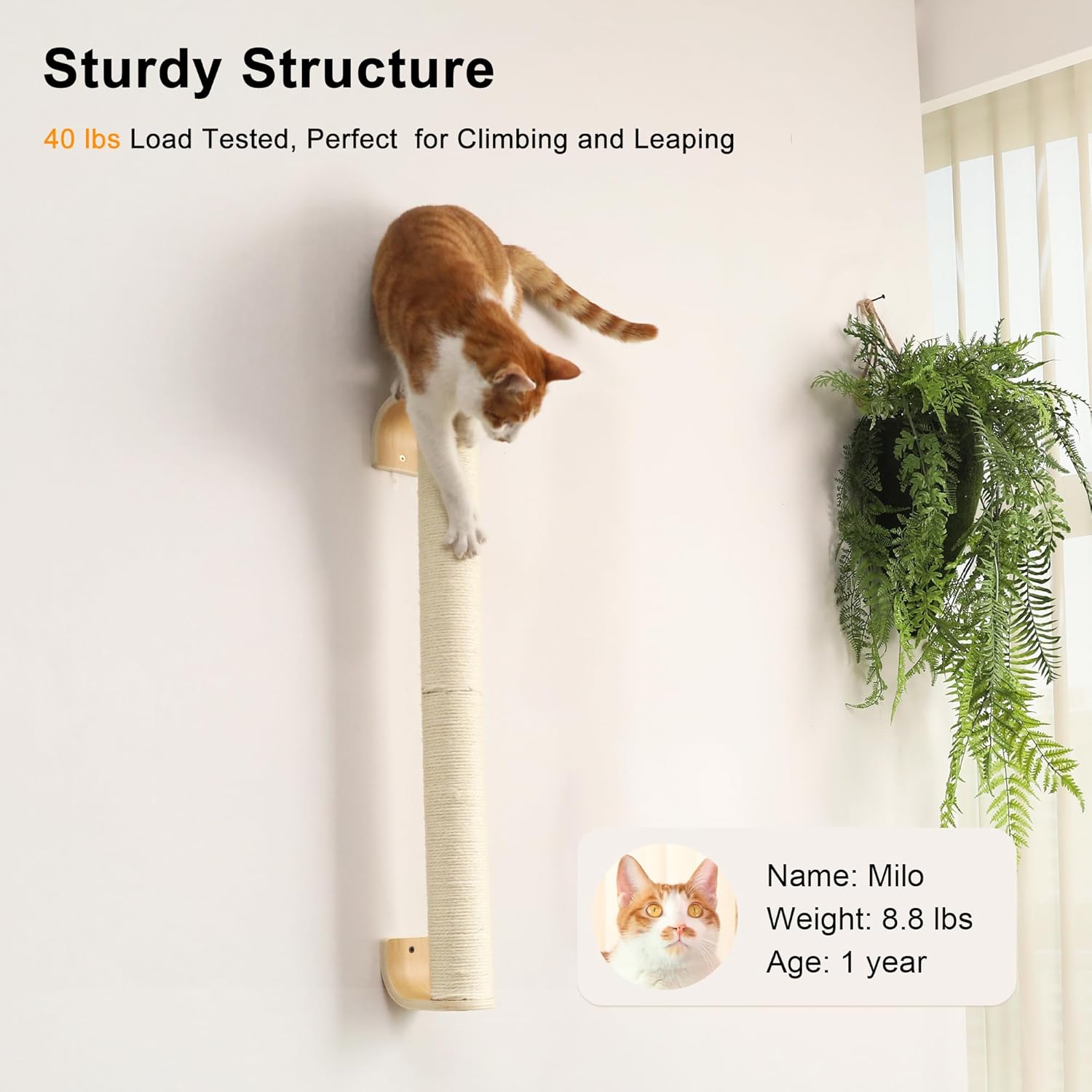 FUKUMARU Cat Wall Scratcher, 28" Wall Mounted Kitten Scratching Post, Sturdy Sisal Climbing Tree for Indoor Cats