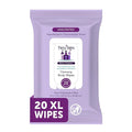 Fairy Tales Daily Cleanse XL Wipes for Kids – Extra Large Body Wipes, Gentle Disposable Washcloths, Unscented, Alcohol Free Cleansing Cloths - 20ct