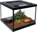 Mini Reptile Glass Terrarium Tank 8 * 8 * 6" Full View, Amphibians Box Habitat Enclosure Cage for Frog,Spiders,Dubia Cockroach,Praying Mantis,Cricket,Tarantula,Hermit Crab