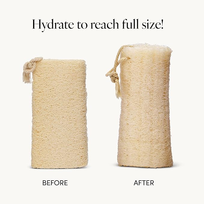LATHER - Natural Loofah 5-6" (2 Pack) Exfoliating Body Scrubber & Shower Loofah - Gentle Cleansing - Cotton Rope to Hang Dry - Shower Accessories - Plant Based, Vegan, Cruelty Free - Beauty, Skin Care