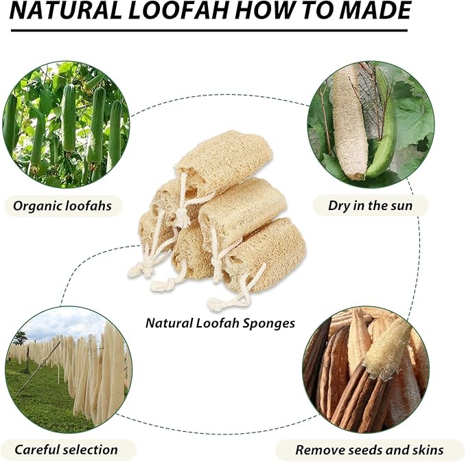 Natural Loofah Sponge Organic Loofa Set 6 Pack,Exfoliating Body Scrubber Shower Luffa Men and Women for Bath Cleaning Skin Back and Face Eco Tool