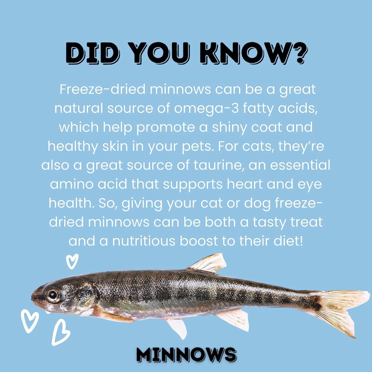 hotspot pets Freeze Dried Minnows Treats for Cats & Dogs (1 Pound Bag Over 1800 PCS!) (Made in USA) All Natural, High Protein, Rich in Omega-3s, Grain-Free,Perfect for Training, Topper or Snack