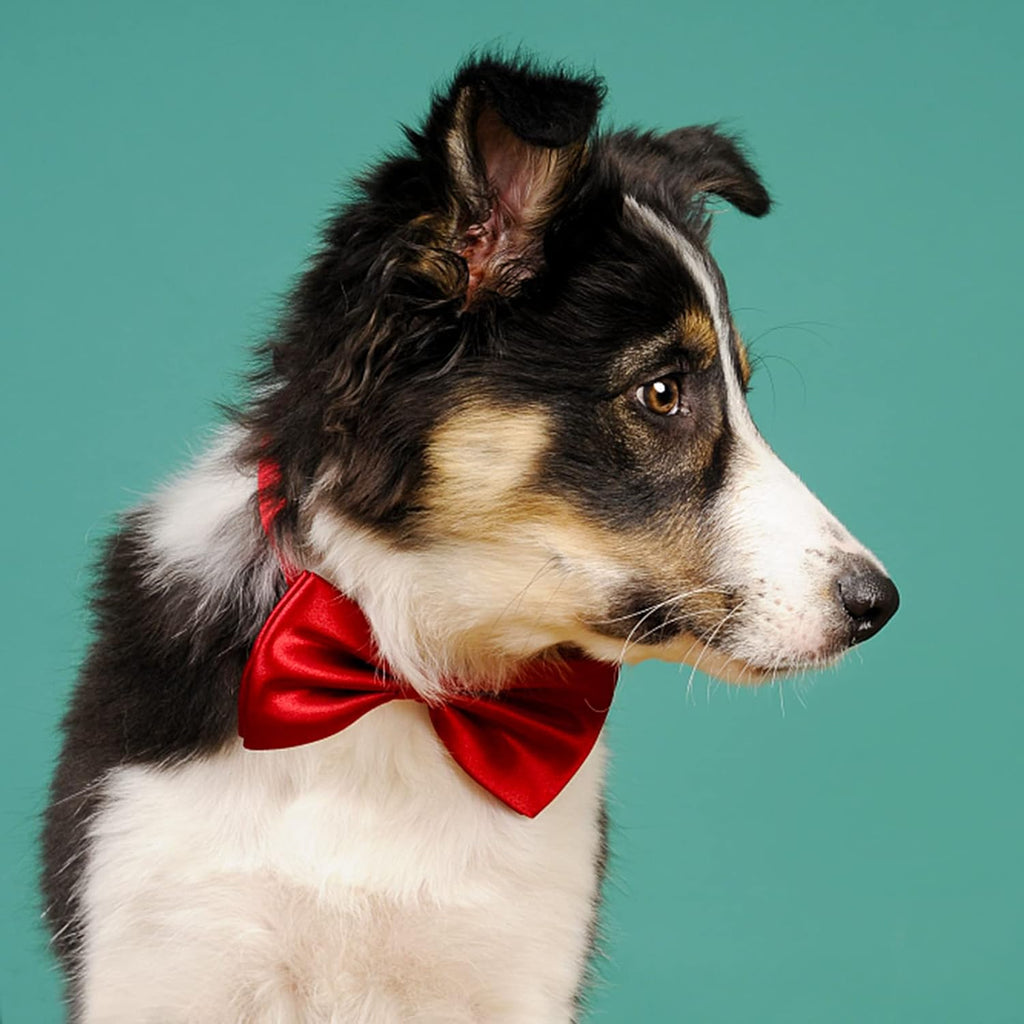 Dog Collar Bowties - 20 PCS Birthday Gift Adjustable Pet Bow Ties for Boys Girls Puppy Cats Photography Grooming Multicolor Bows(Small)