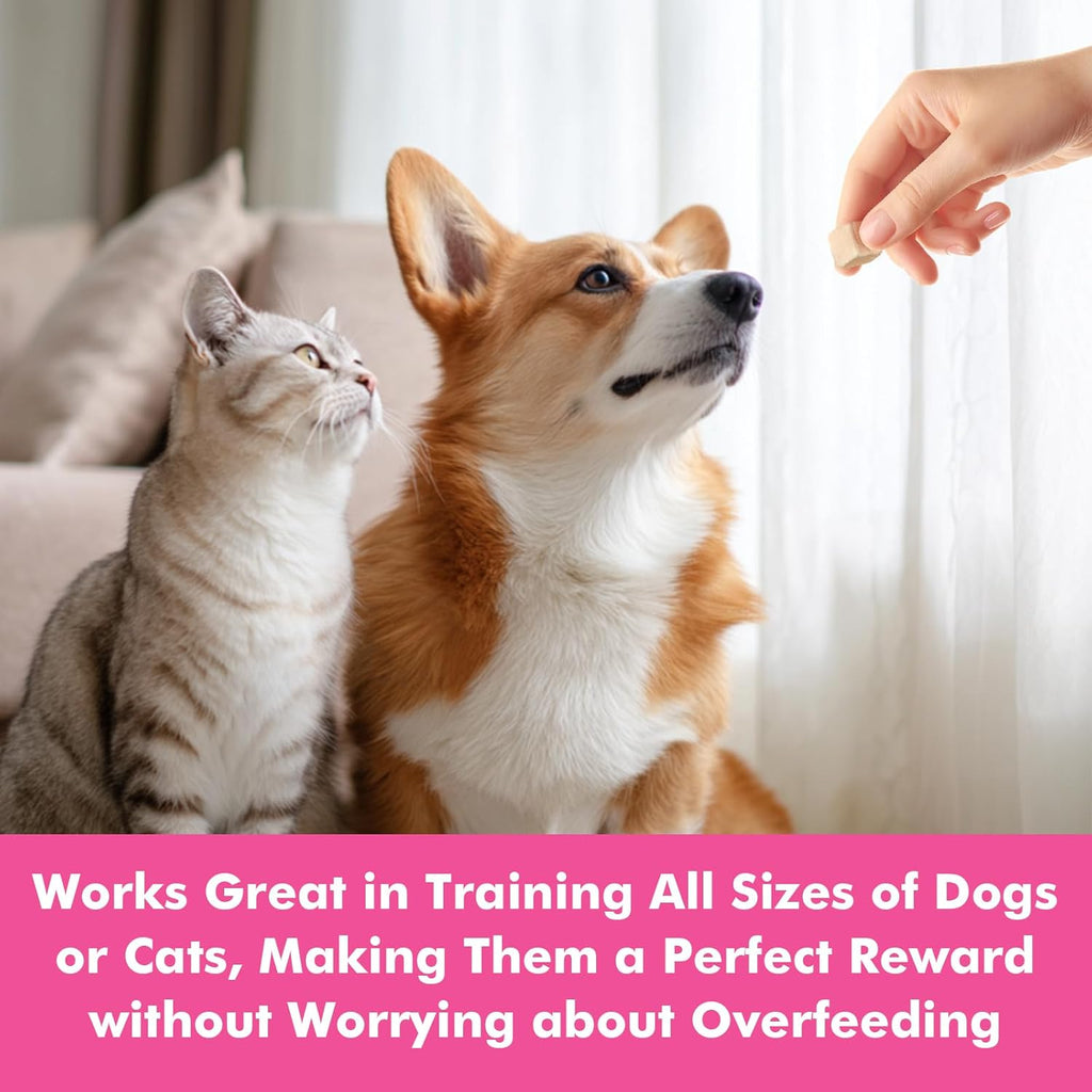 Freeze Dried Cats & Dogs Raw Treats, All Natural Single Ingredient Duck Breast, High Protein Healthy Pet Training Treats or Food Topper, 3.5 oz