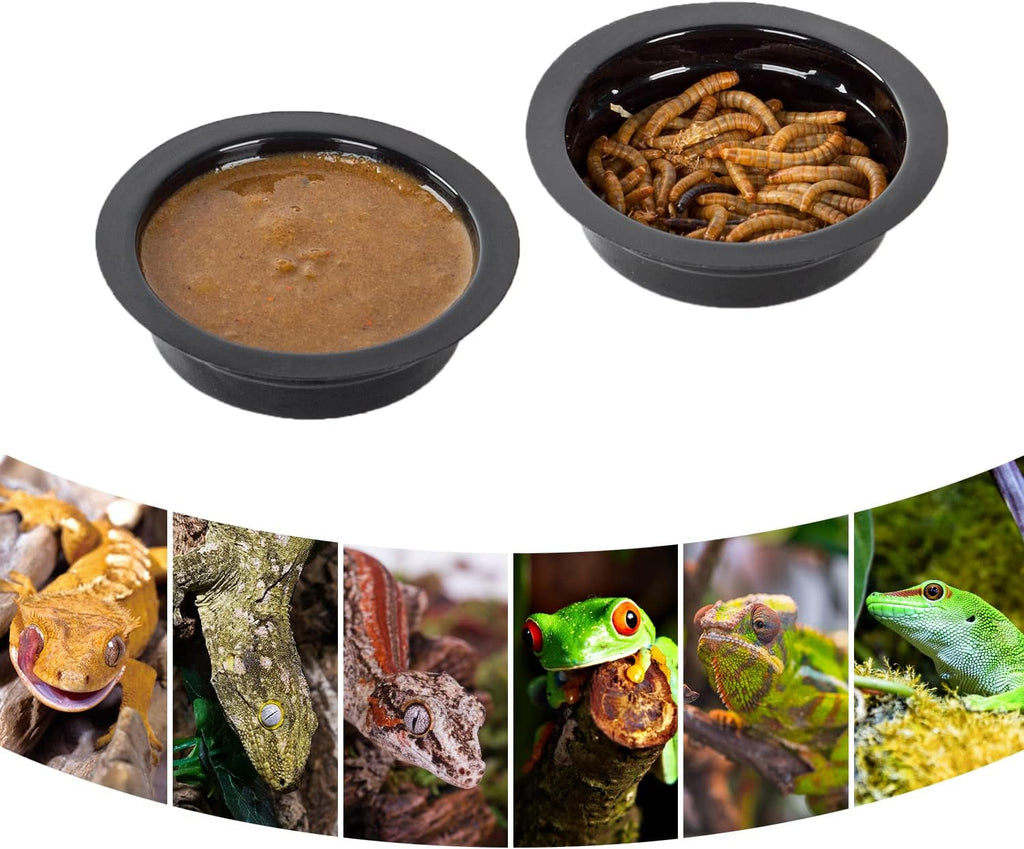 WACOOL Magnetic Reptile Ledge, Acrylic Gecko Feeding Ledge with 6PCS Cups, Reptile Food Water Feeder Dish for Geckos Iguana Chameleon Pets (Cups)