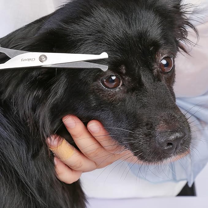 Chibuy Pet Grooming Scissors Set for Dogs & Cats with Safety Round Tips Dog Eye cut Stainless Steel Dog Grooming Scissors Kit, Home Professional Pet Grooming Tools -For Large & Small Animals