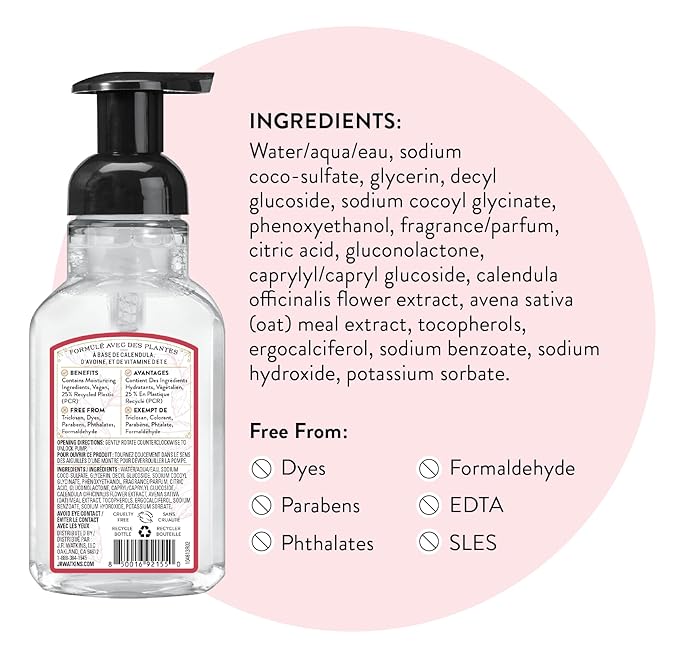 J.R. Watkins Foaming Hand Soap with Pump Dispenser, Moisturizing Foam Hand Wash, Alcohol-Free, Cruelty-Free, Menthe Poivree/Peppermint, 9 fl oz, 3 Pack