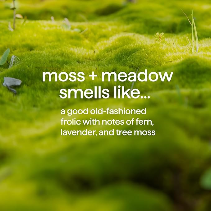 Method Body Wash, Moss + Meadow, 18 oz