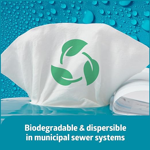Medline ReadyFlush Flushable Wipes (60 Wipes per Tub), Scented, Biodegradable Flushable Incontinence Wet Wipes for Adults with Aloe, Hypoallergenic & pH-Balanced Personal Cleansing Cloths