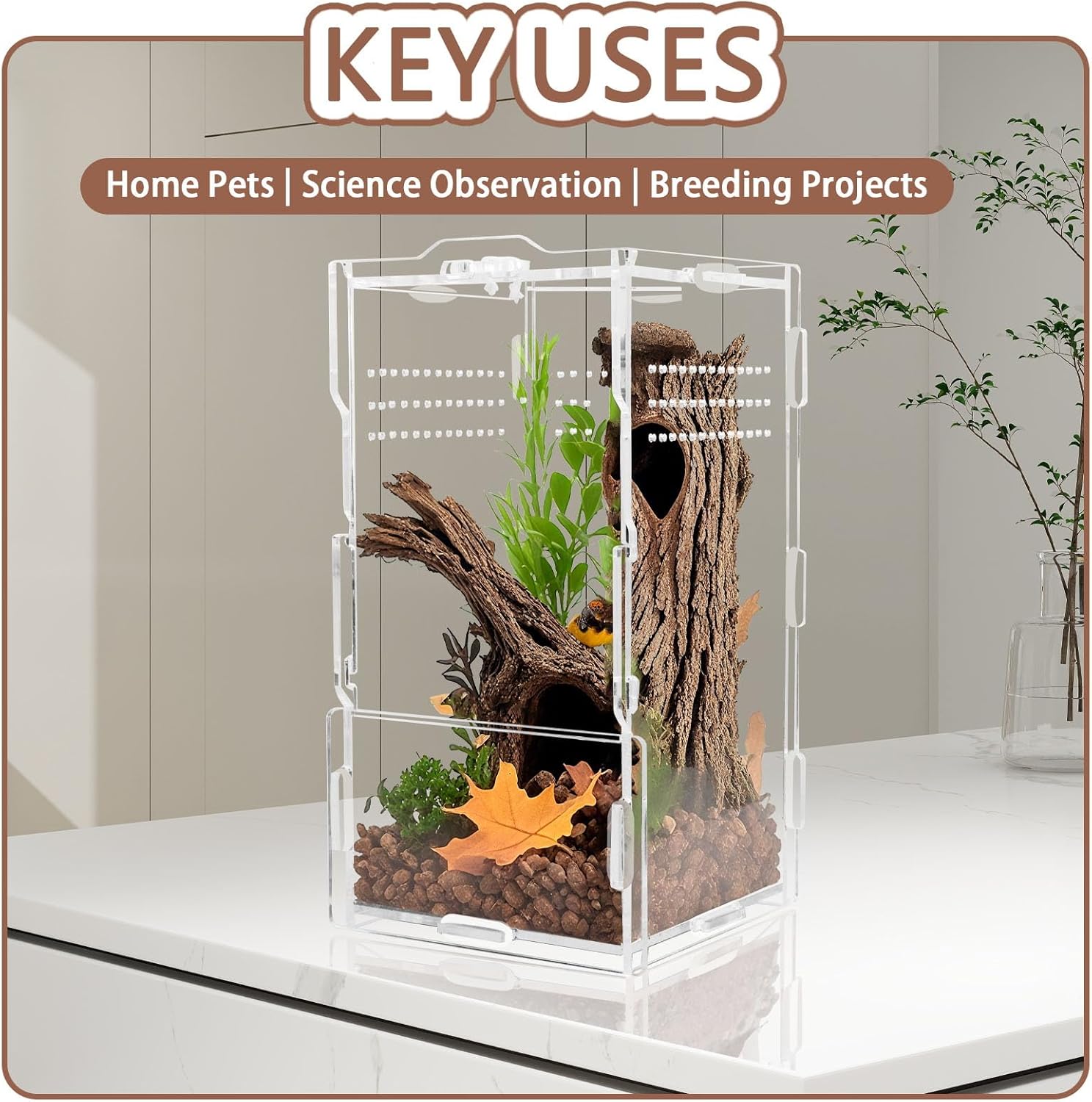 8x4x4in Vertical Acrylic Jumping Spider Enclosure – Arboreal Tarantula & Reptile Terrarium for Sling Lizards, Geckos, Snails