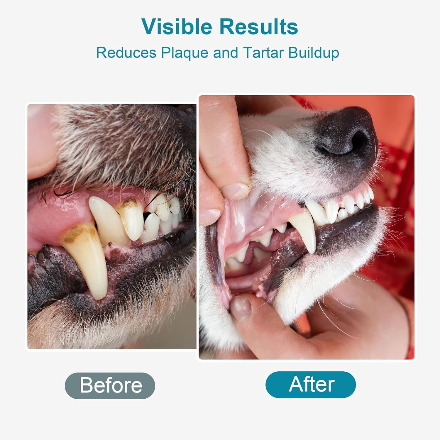 Dog Teeth Cleaning Powder 100g Fights Plaque & Tartar Freshens Breath All-Natural Ingredients for Dogs of All Breeds and Ages Easy to Use Dog Dental Powder