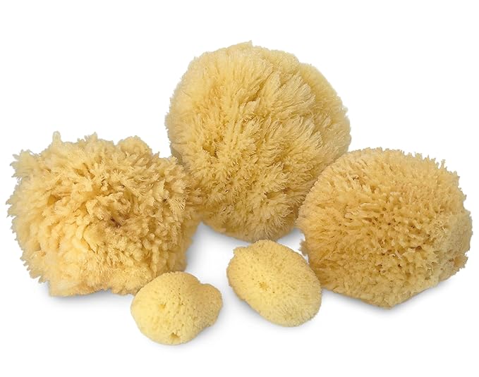 Real Natural Sea Sponges Multipack - 5pc Spa Gift Set in Premium Bag, Kind on Skin, for Bath Shower Facial Cleansing, Pamper Moms Brides Girlfriends & Teens by Constantia Beauty®
