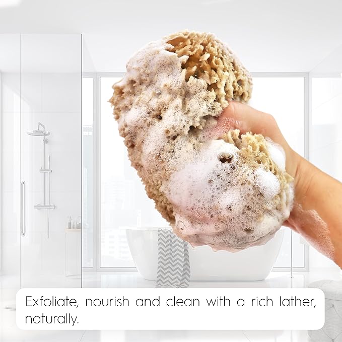 Naroa Exfoliating Natural Sponge for Shower X Large | Bath Sea Loofah for Healthy Skin | Unbleached Bathing Body Scrubber Puff | Plastic Free