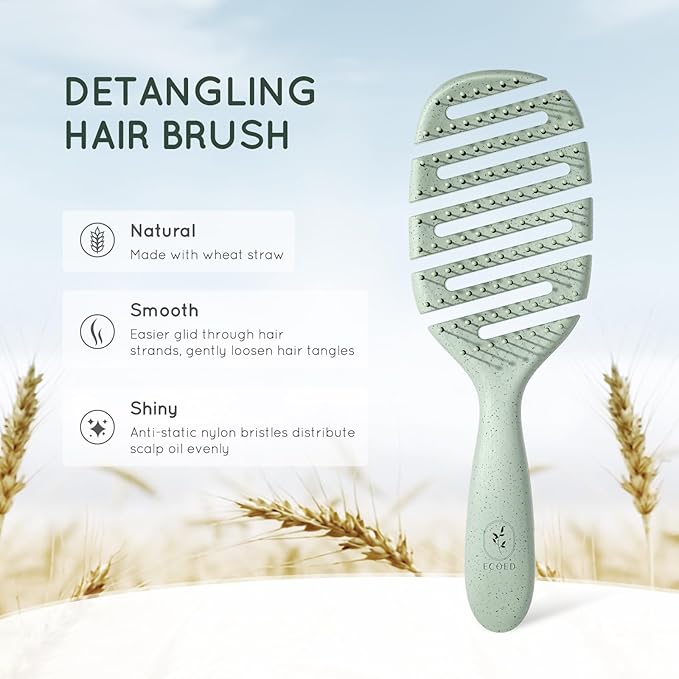 Detangler Hairbrush, Soft Bristle Detangling Brush for Straight, Wavy, Curly and Fine Hair, Dry and Wet, Quick Smoothing for Women and Men, Eco-Friendly & Sustainable Material (Green)