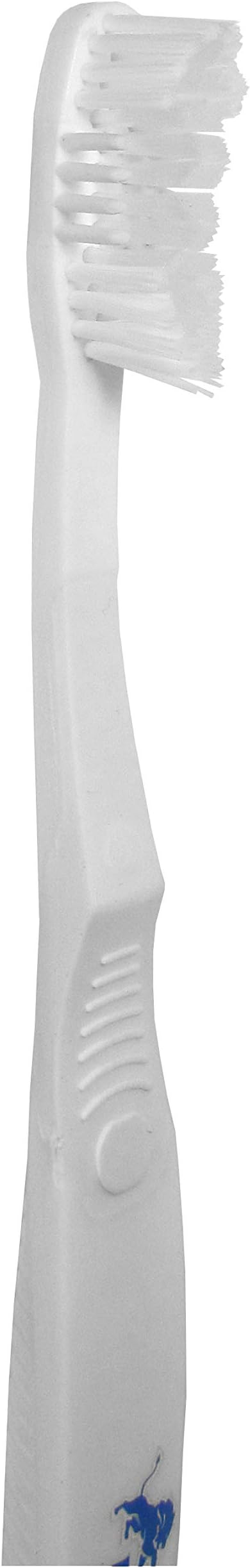 Siskiyou Sports NFL Detroit Lions Solar Powered Unisex Adult Travel Toothbrush and Case, White