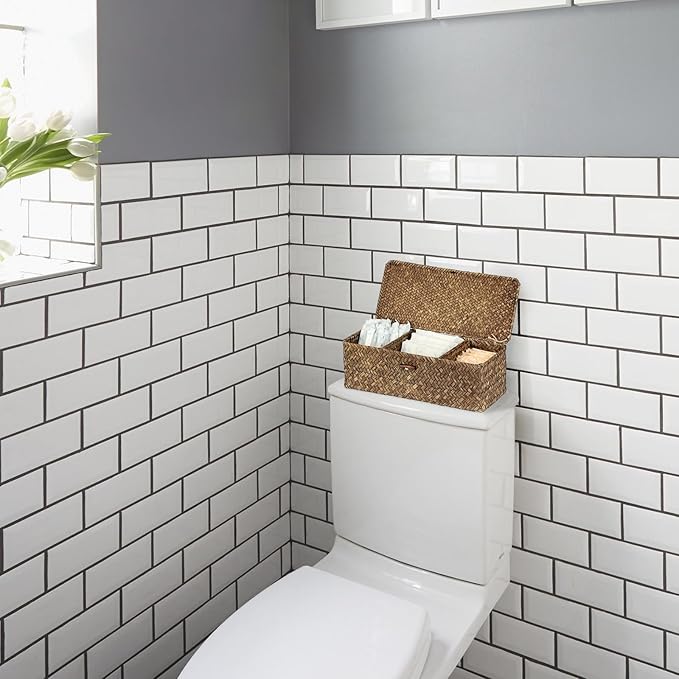Sumnacon Seagrass Storage Basket with Lid Wicker Storage Baskets with Sections,Small Woven Shelf Basket for Toiletries Tampon, Seagrass Basket for Shelf Bathroom Toilet Table Counter,Coffee