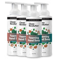 Clean Revolution Foaming Hand Soap. Ready to Use Formula. Geranium Mint. 14 oz, Pack of 4
