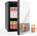 24 Can Freestanding Beverage Refrigerator, 0.9 Cu. Ft Mini Fridge with Mirror Front Door and Countertop Skincare Fridge, Small Refrigerator with Adjustable Shelves for Soda, Beer or Wine