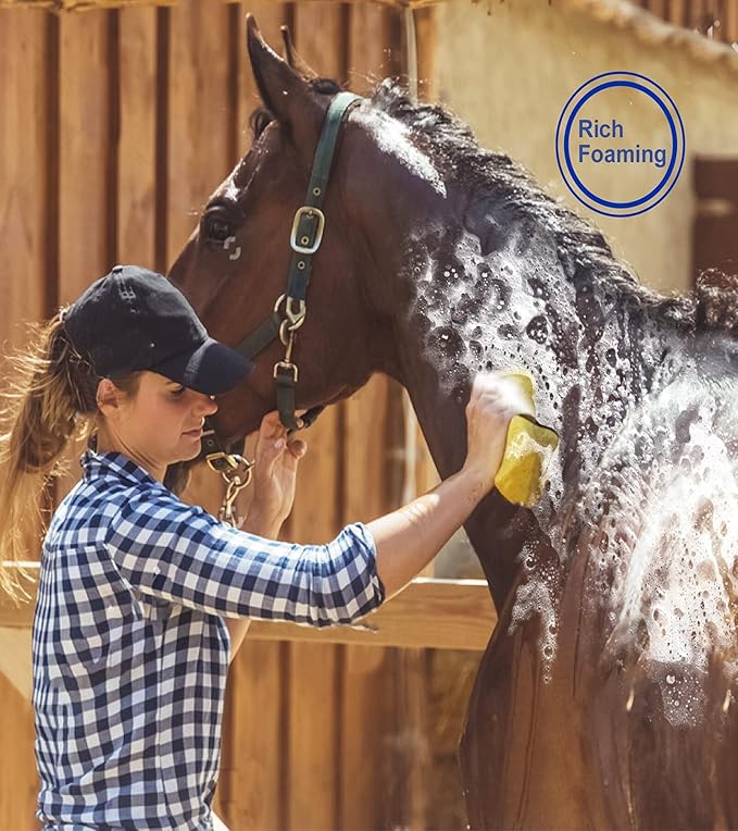 Horse Grooming Kit (12-Piece): Brushes, Storage Bag, Sweat Scraper, Mane Comb, Grooming Gloves - Purple Horse Gifts for Girls