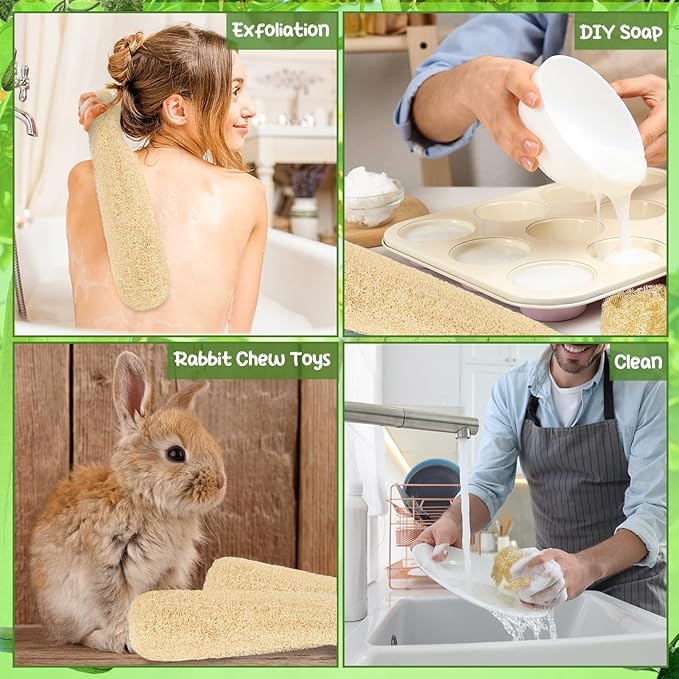 6 Pack Natural Loofah Sponge 15.7 Inch for Kitchen Bath & Body Scrub Organic Exfoliating Sponge for Dishes Skin Men Women