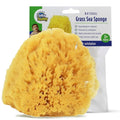 Baby Buddy Natural Baby Bath Sponge 4in Soft Grass Sea Sponge Soft on Baby's Tender Skin, Biodegradable, Hypoallergenic, Absorbent Natural Sea Sponge, 1 Pack, Yellow