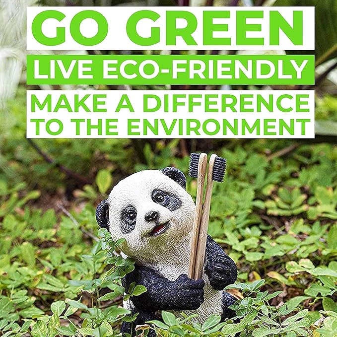 12 Count I Bamboo Toothbrush I Soft Bristles Best for Sensitive Gums I Charcoal I Vegan I Natural Wood I BPA Fee I Recyclable I Compostable I Biodegradable | Environmentally Friendly