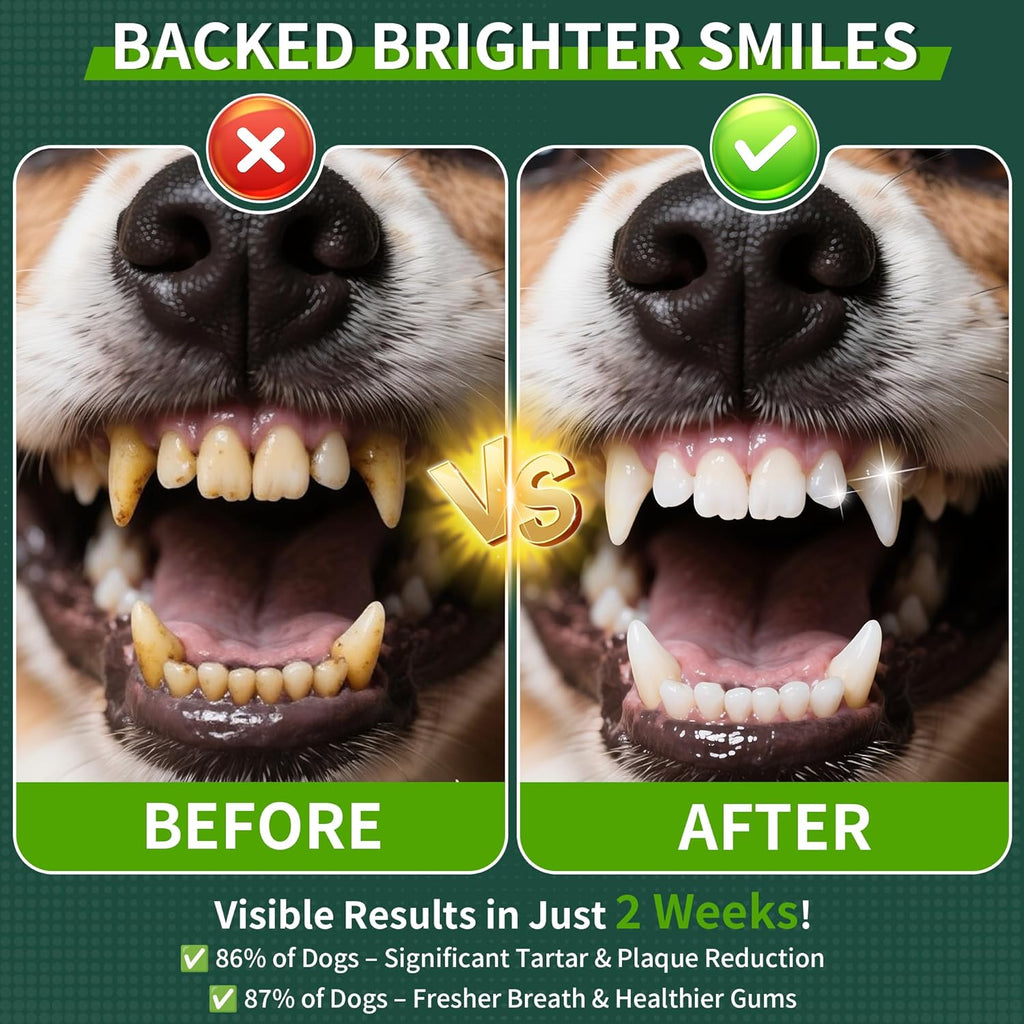 Dog Dental Powder, Dog Teeth Cleaning Powder with Natural Herbal Blend & Postbiotics, Dog Teeth Cleaning, Targets Tartar & Reduces Plaque & Bad Breath for Dogs & Cats, Mint -150Grams