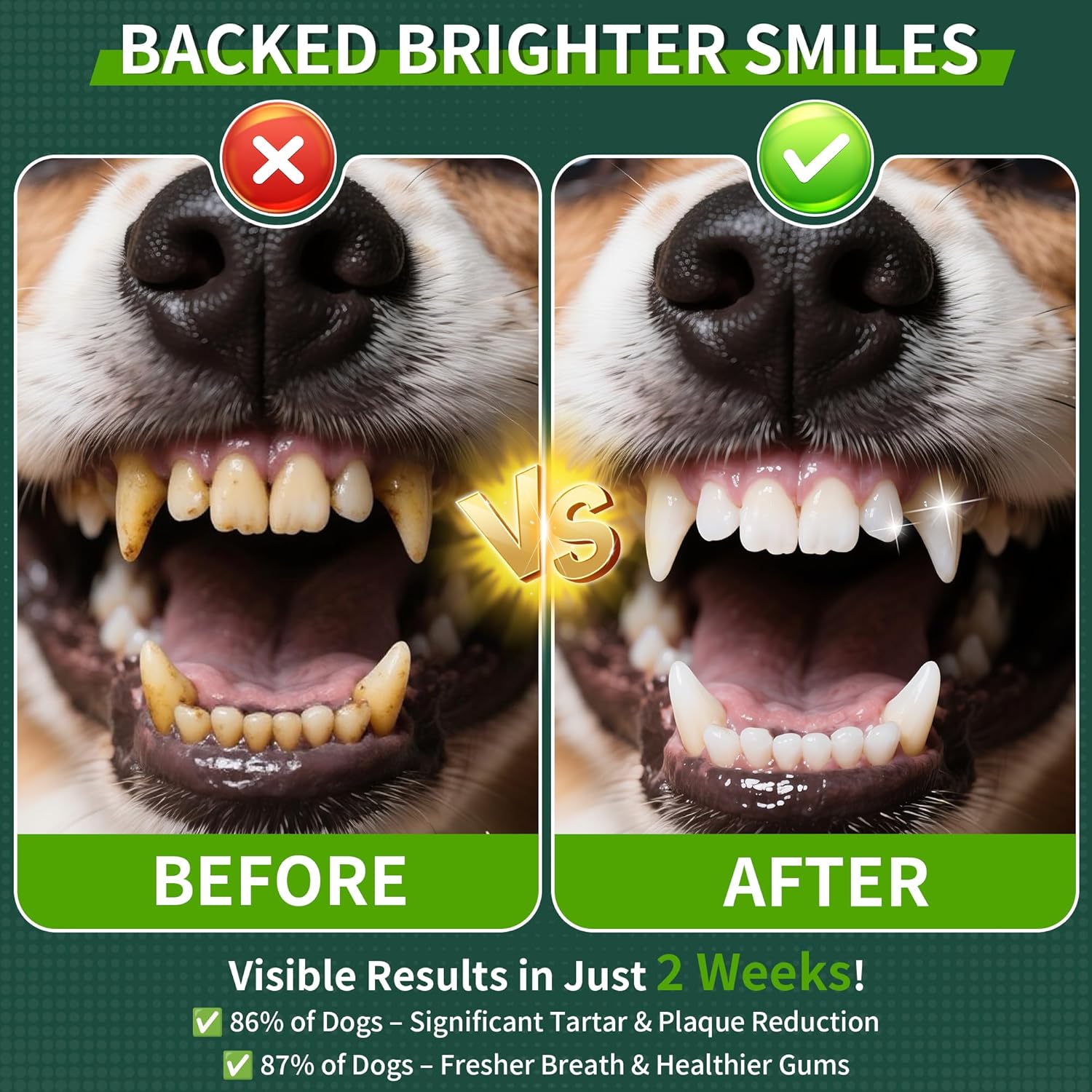 2 Pack Dog Dental Powder, Dog Teeth Cleaning Powder with Natural Herbal Blend & Postbiotics, Dental Powder for Dogs Teeth, Targets Tartar & Reduces Plaque & Bad Breath for Dogs & Cats, Mint -150Grams