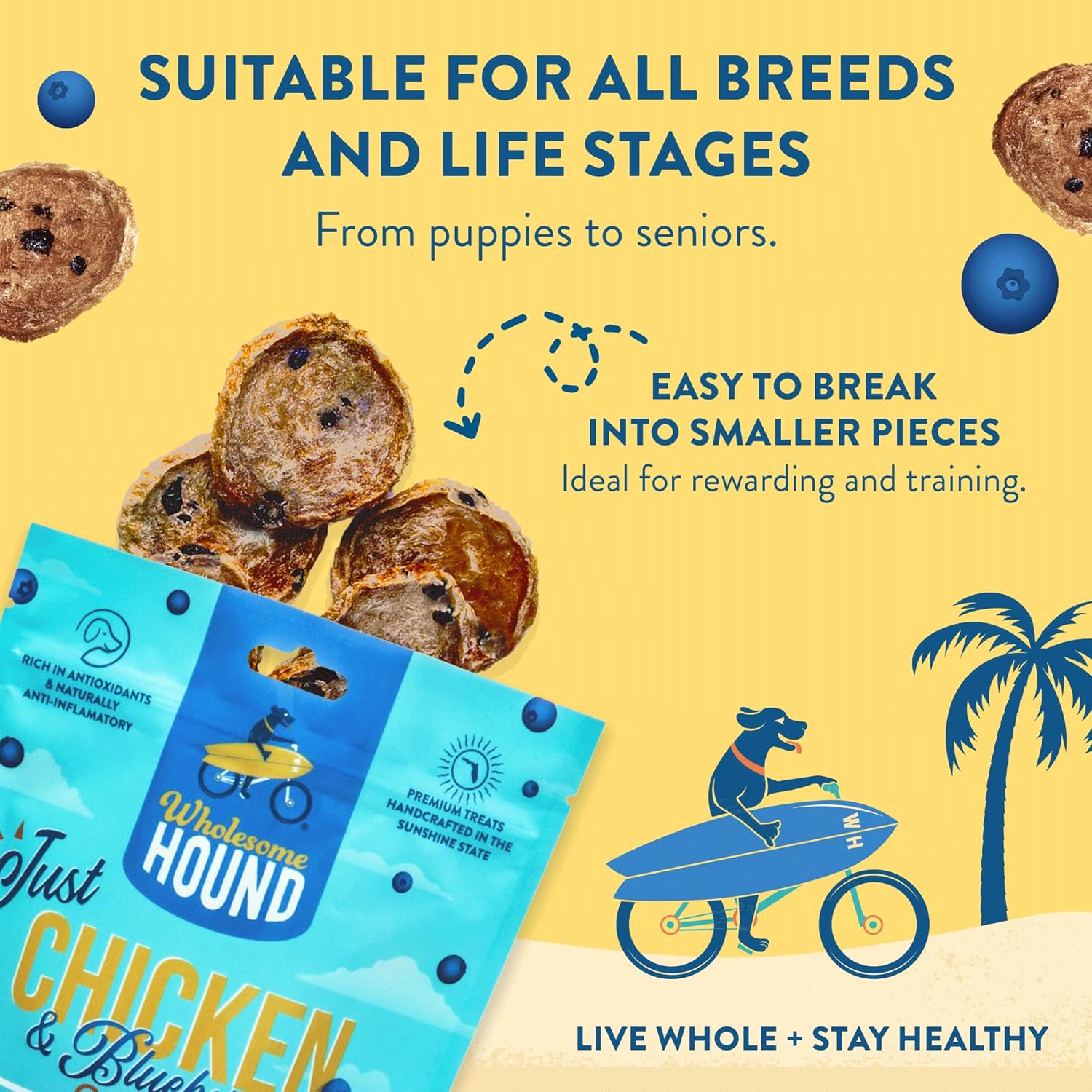 Chicken & Blueberry Chips – 2 Simple Ingredient Dog Treats, All Natural & Healthy Training Snacks for Small, Medium & Large Breeds, Puppies – High Protein, Made in USA, 7oz