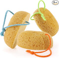 Sponges Shower, 3Pcs Soft Bath Sponges for Women Men, Wash Sponges for Body Face Multipack, Dense Foam for Gentle & Deep Cleansing, Ultra-Soft for Sensitive Dry Skin (Assorted Color Loops)