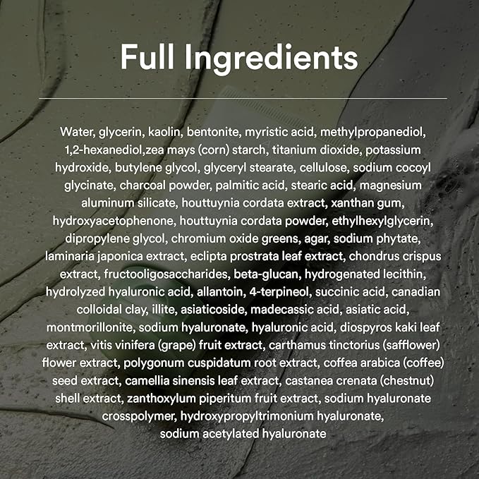 Abib Pore Clay Pack Cleanser Heartleaf Charcoal Foam, 4.05 fl oz, Mousse Form, Oil Control, Unscented