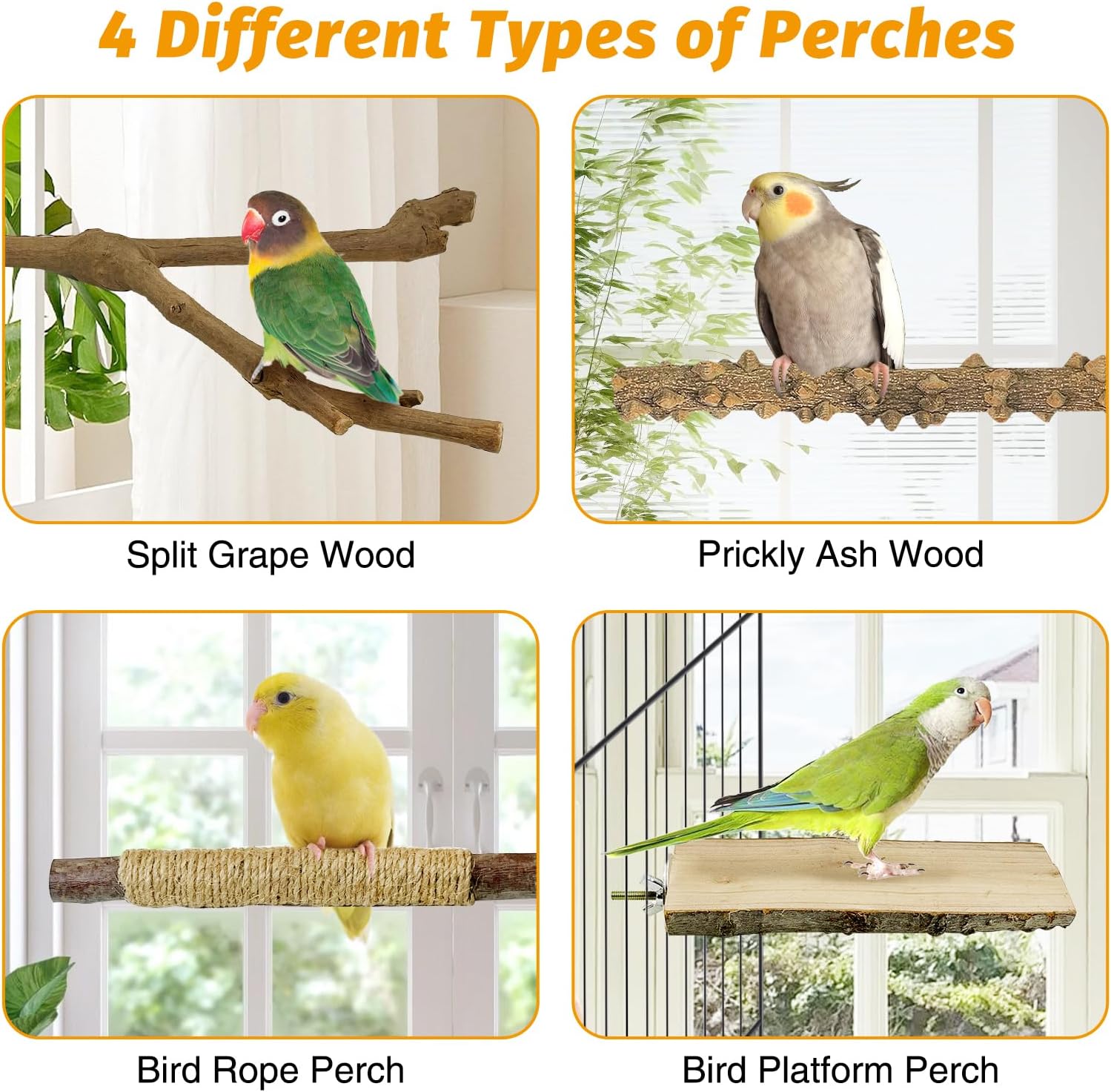 kathson 5pcs Natural Parrot Perch for Cage Wooden Bird Perches Grape Bird Stick Parakeet Climbing Standing Branches Toy Chewable Cage Accessories for Small Budgies Cockatiels