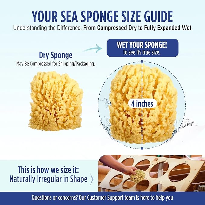 Baby Buddy Absorbent Natural Bath Sponge, Ultra Soft Premium Sea Wool Sponge, Soft On Baby's Tender Skin, Bath Accessories Baby and Kids, Infant Bath, Biodegradable, Hypoallergenic, 4 Pack, 4.5 in