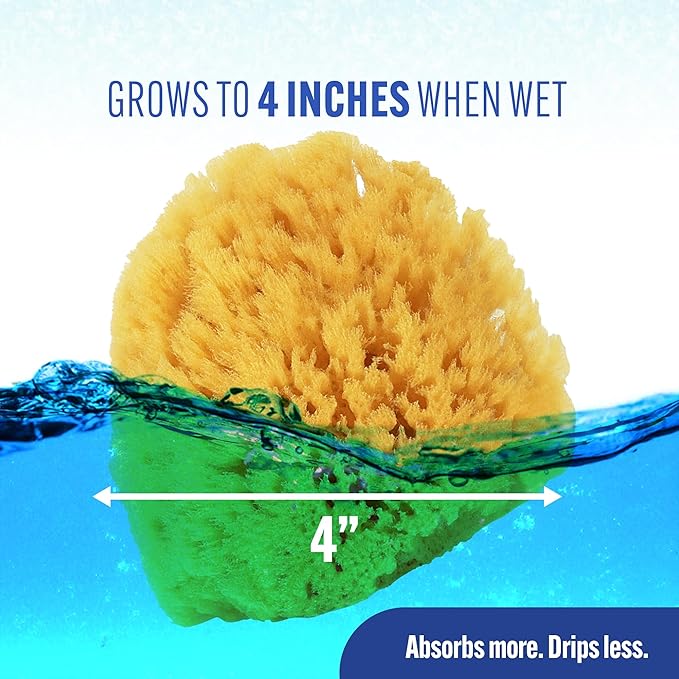 Baby Buddy Natural Baby Bath Sponge 4in Soft Grass Sea Sponge Soft on Baby's Tender Skin, Biodegradable, Hypoallergenic, Absorbent Natural Sea Sponge, 1 Pack, Yellow