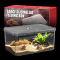 Breathable and Secure Reptile Tank with high Transparency - Ideal Container House for Hermit Crab, Tarantula Enclosure, Turtle Tank or Jumping Spider Habitat (L)