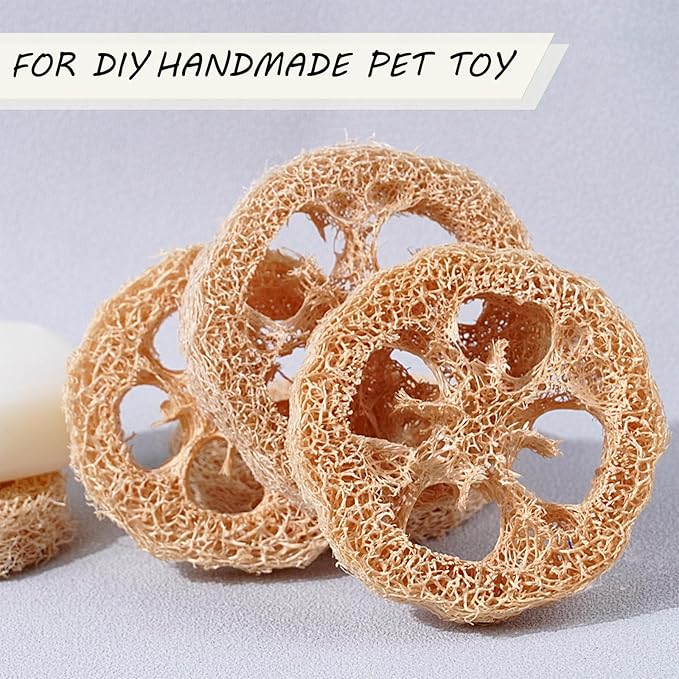 Natural Loofah Slices Cuts for Soap Making-20 Pack Organic Luffa Loofa Sponges for Soap Holder Handmade DIY Loofa Pet Toy Loofahs