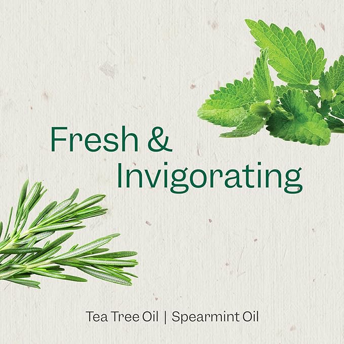 RENPURE Tea Tree & Mint Body Wash - Cleanses, Invigorates & Refreshes Skin Without Over-Drying - For All Skin Types - Tea Tree Leaf Oil, Spearmint Leaf Oil - 24 Fl Oz each,2 Count (Pack of 2)