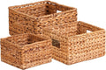 Honey-Can-Do Banana Leaf Storage Baskets –Water Hyacinth Woven Basket, Decorative Baskets for Shelves, Basket for Gifts, Closet, Pantry, and Home Organization, Set of 3, Multi-Size