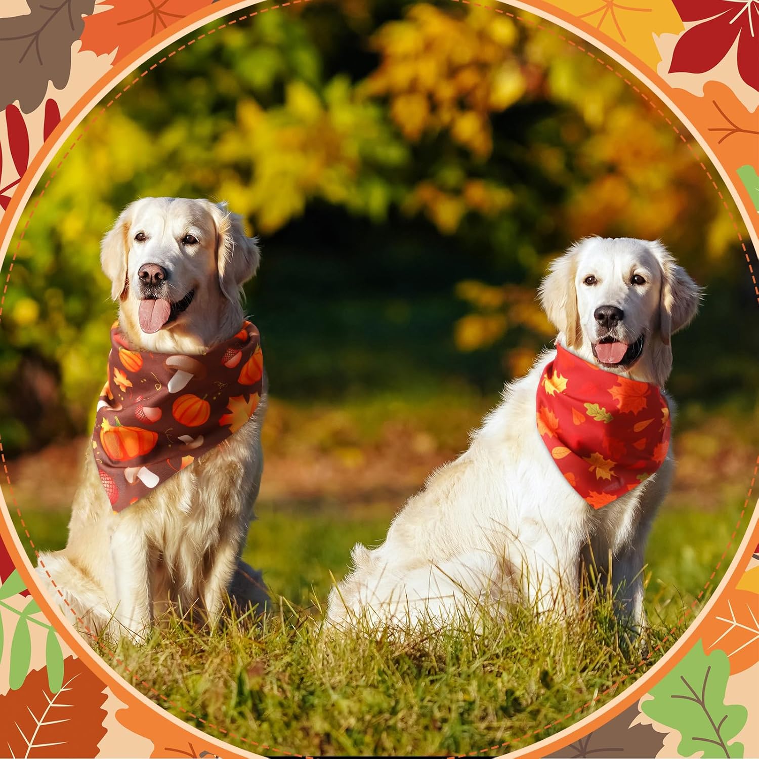 Chunful 100 Pieces Fall Dog Bandanas Bulk Autumn Pet Bandanas with Pumpkin Patterns Triangle Scarf Bib Kerchief Set for Small Large Dog Thanksgiving Costume Accessories (31.5 x 21.7 x 21.7)