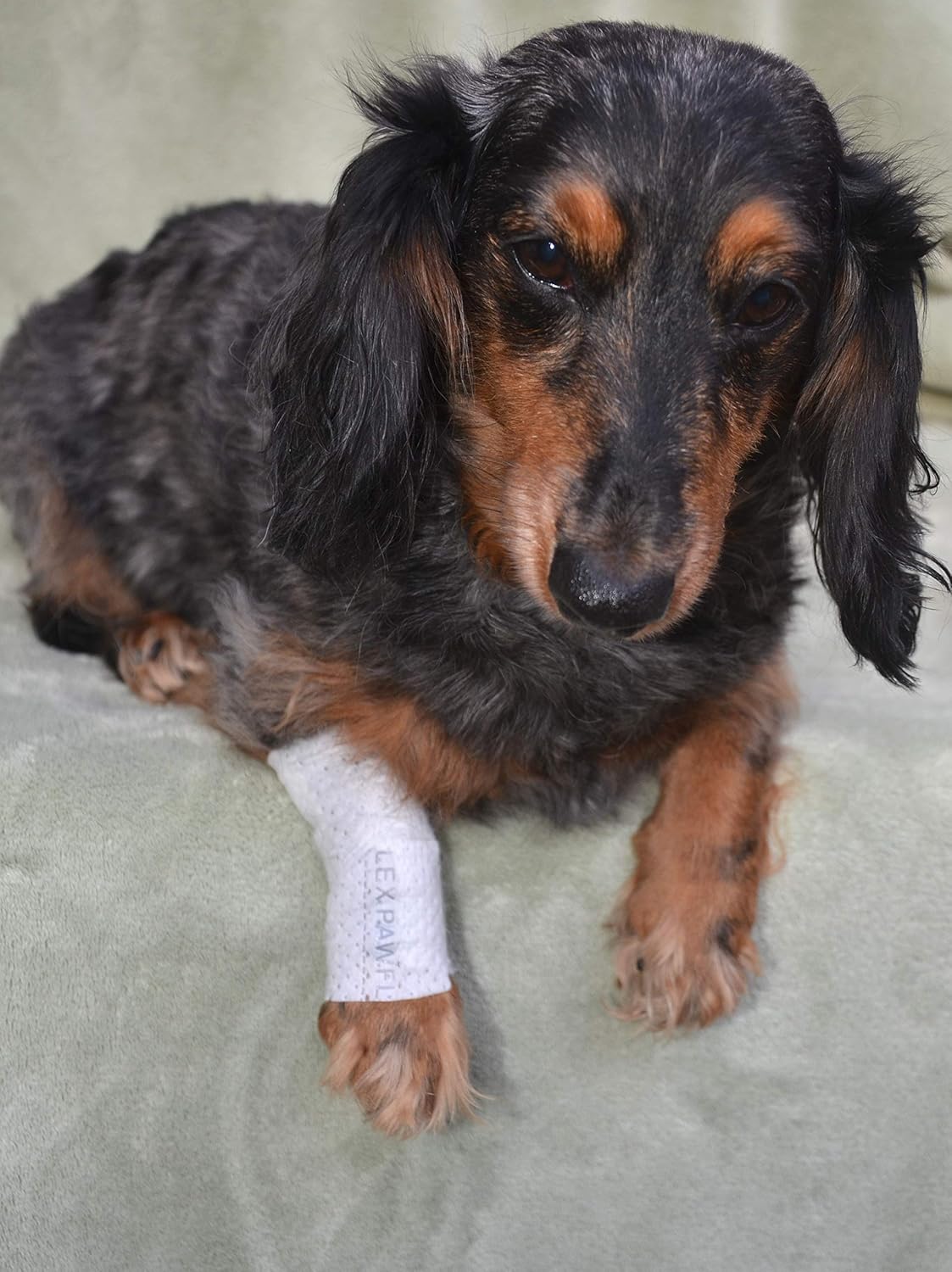 Protective Sleeve Tubular Cover - Bandages - for Dogs Cats and Other Pets First Aid Wound Care Comfortable Non-Adhesive Breathable & Water Resistant 18 Strips (yields 36-54 Covers)-(Large)