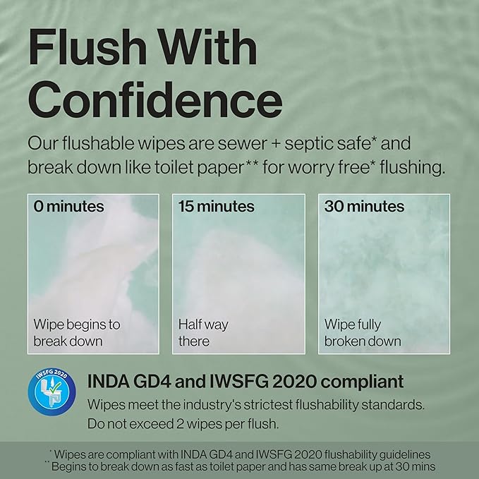 The Honest Company Hypoallergenic Flushable Wipes for Sensitive Skin, Gilded Wings, 126 Count