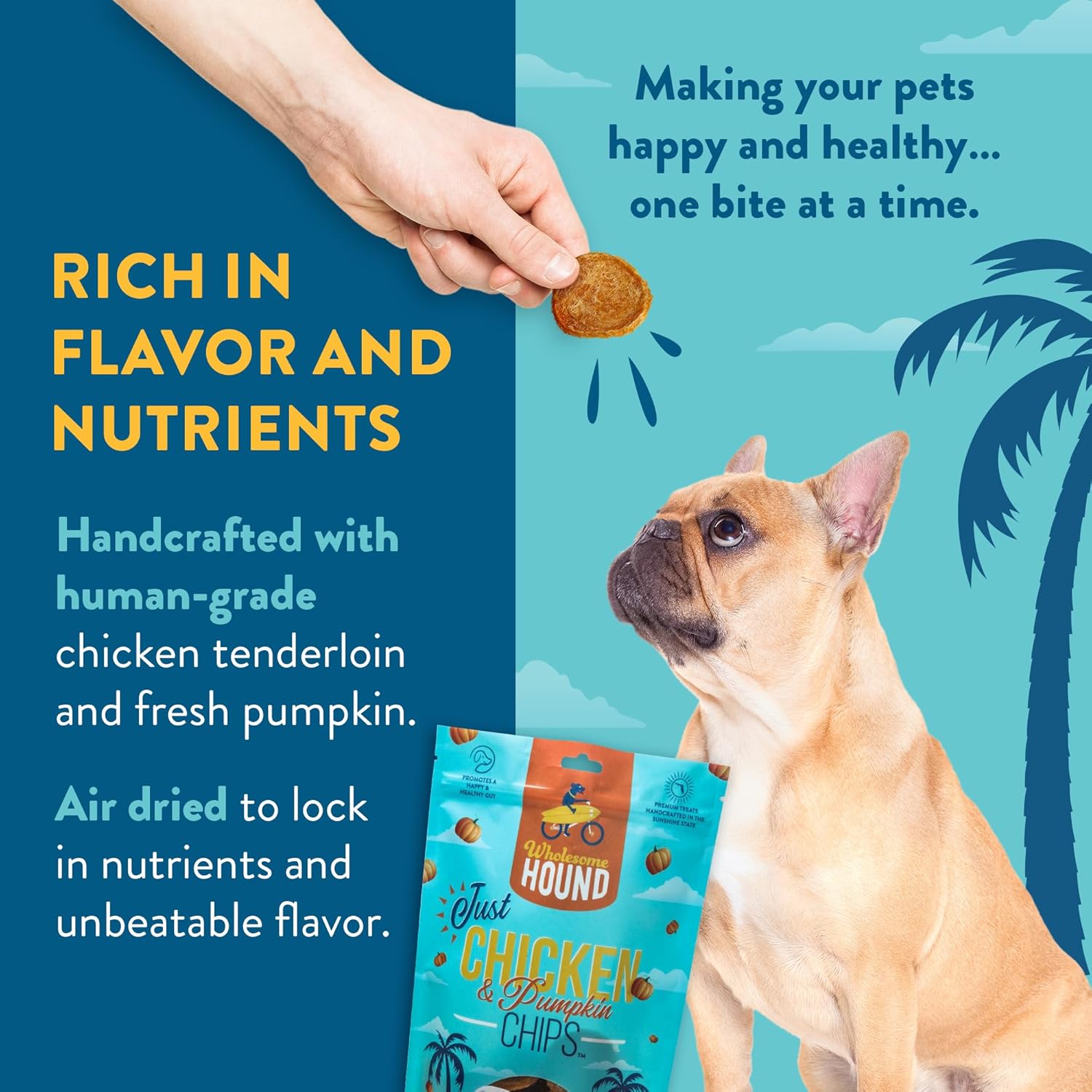 Chicken & Pumpkin Chips – 2 Simple Ingredient Dog Treats, All Natural & Healthy Training Snacks for Small, Medium & Large Breeds, Puppies – High Protein, Made in USA 7oz