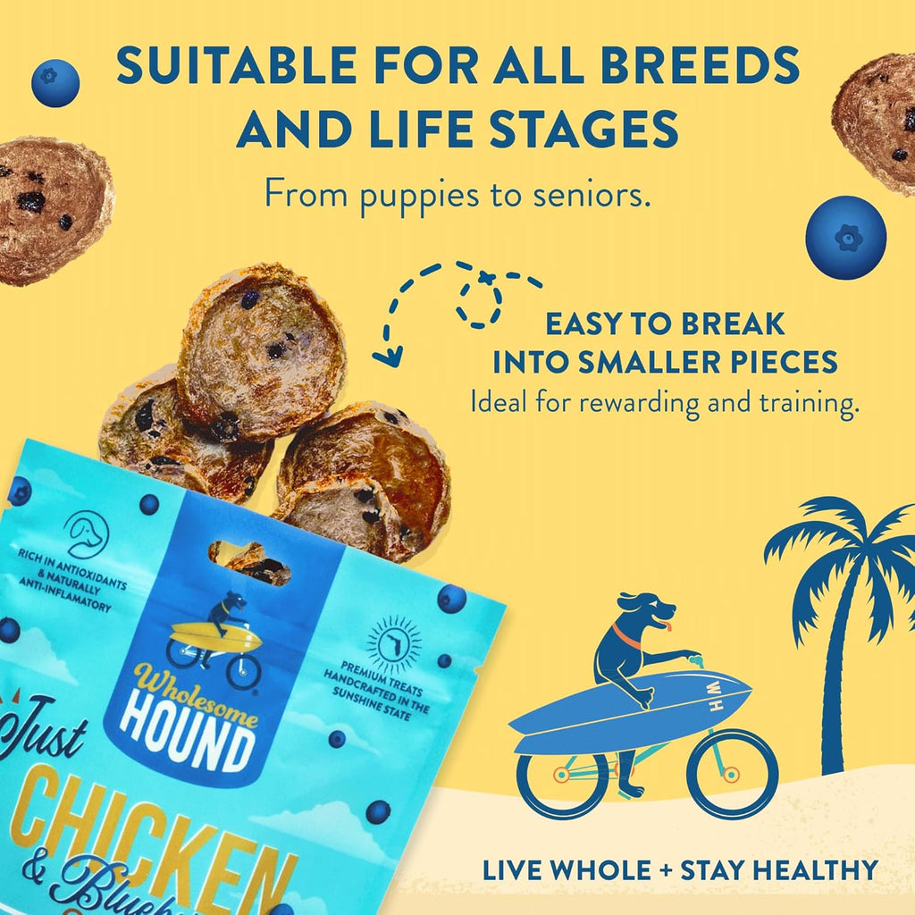 Chicken & Blueberry Chips – 2 Simple Ingredient Dog Treats, All Natural & Healthy Training Snacks for Small, Medium & Large Breeds, Puppies – High Protein, Made in USA 3oz