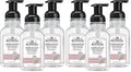 J.R. Watkins Foaming Hand Soap with Pump Dispenser,Moisturizing Foam Hand Wash,Alcohol-Free,Cruelty-Free,eau de rose,9 fl oz,(Pack of 6)