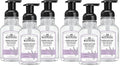 J.R. Watkins Foaming Hand Soap with Pump Dispenser,Moisturizing Foam Hand Wash,All Natural,Alcohol-Free,Cruelty-Free,USA Made,Lavender,9 fl oz,(Pack of 6)