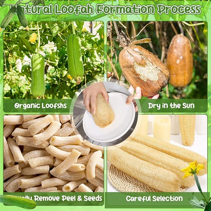 6 Pack Natural Loofah Sponge 15.7 Inch for Kitchen Bath & Body Scrub Organic Exfoliating Sponge for Dishes Skin Men Women