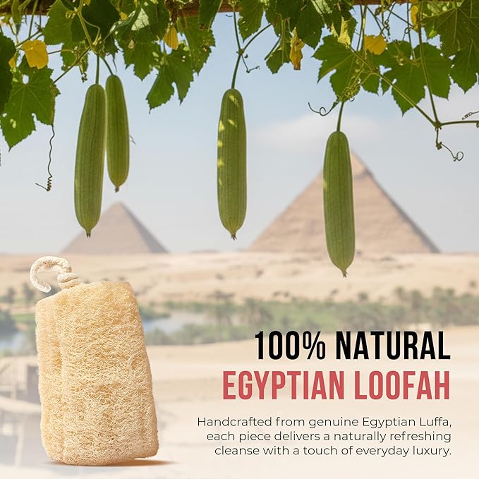 CraftsOfEgypt Natural Loofah Sponge – Egyptian Luffa Body Scrubber Pack of 4 for Men & Women, Natural Bath & Shower Loofah Exfoliator, All Natural Loofah Sponges for Face Back & Body, 6" x 6"
