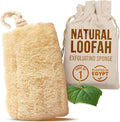 CraftsOfEgypt Natural Loofah Sponge – Egyptian Luffa Body Scrubber Pack of 1 for Men & Women, Natural Bath & Shower Loofah Exfoliator, All Natural Loofah Sponges for Face Back & Body, 6" x 6"