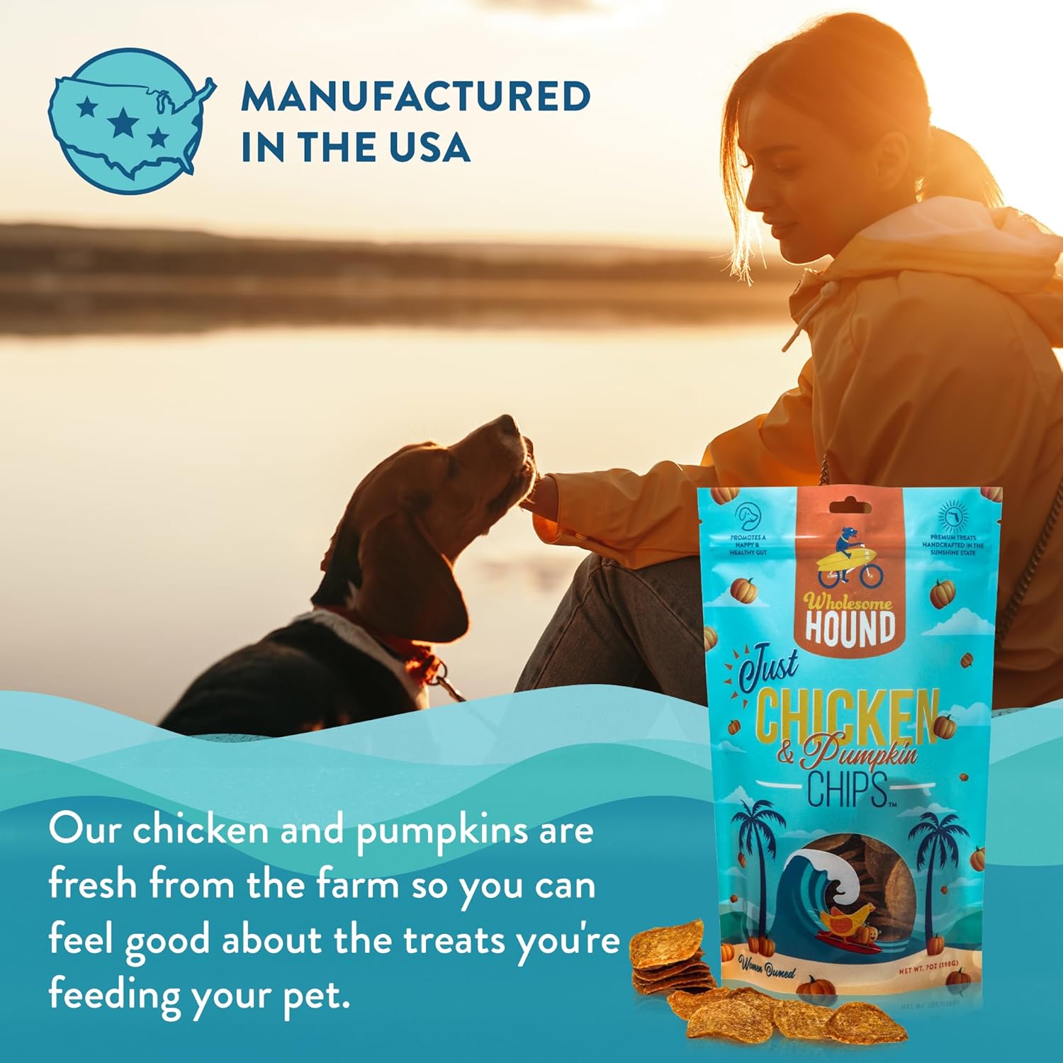 Chicken & Pumpkin Chips – 2 Simple Ingredient Dog Treats, All Natural & Healthy Training Snacks for Small, Medium & Large Breeds, Puppies – High Protein, Made in USA 7oz